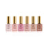 Apres Color Extend Gel Cover Collection (6 Color Bottle Edition 0.5 Each)