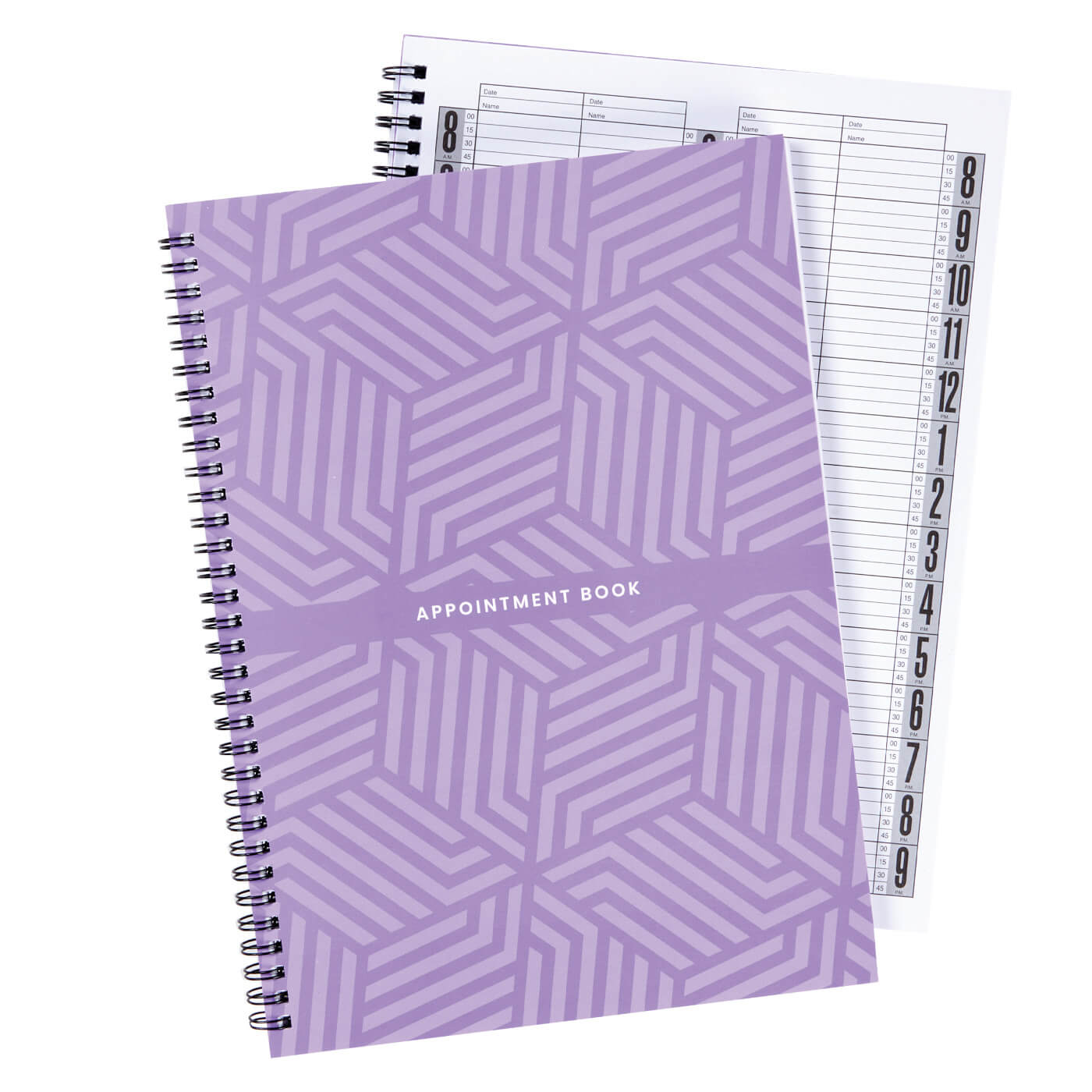 DL Pro Appointment Book, 4-Column Item# DL - C203