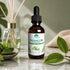 Lapalm Spa Fragrance Oil 2 Oz - Green Tea