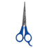 Gold Magic 5-1/2" Stainless Steel Cutting Shear Item # OE-55