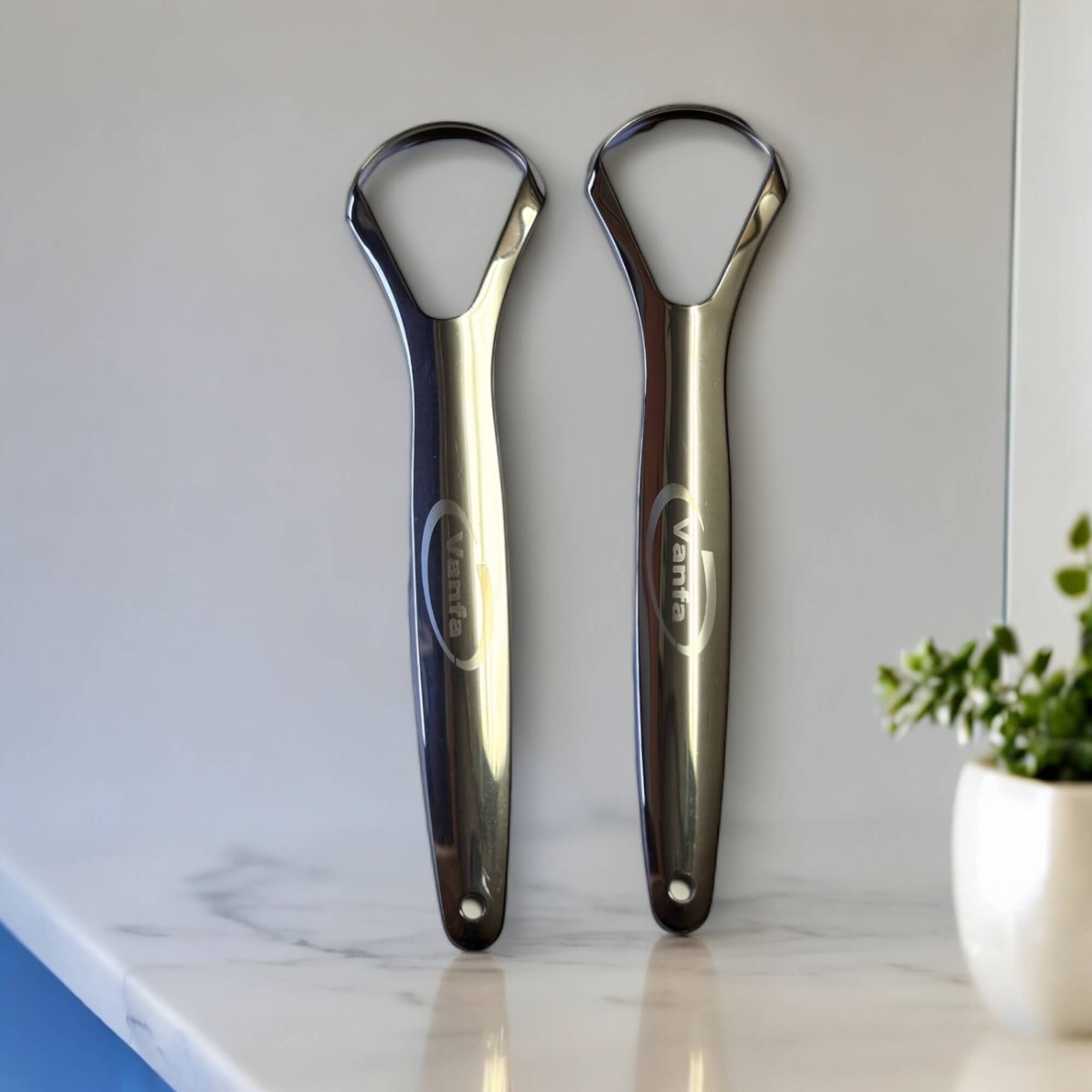 Vanfa Stainless Steel Tongue Scraper Tongue Cleaner 2-Pack Item: #79019