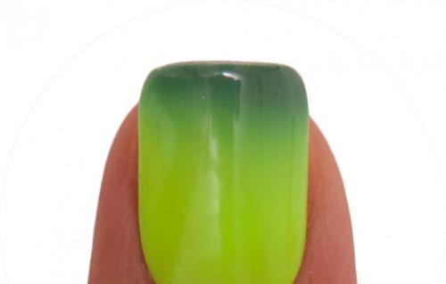 Lechat Dare To Wear Mood Changing Nail Lacquer  - DWML22 Shamrock