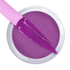 IGel Dip & Dap Powder 2 oz DD 54 PASSIONATE PURPLE